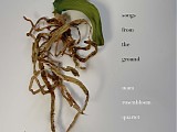 Mara Rosenbloom Quartet - Songs from the Ground