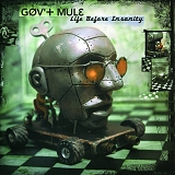 Gov't Mule - Life Before Insanity