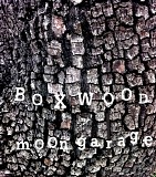 Boxwood - Moon Garage