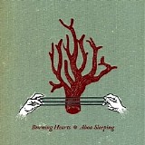 Burning Hearts - Aboa Sleeping