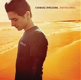 Dashboard Confessional - Dusk And Summer