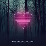 Fitz & The Tantrums - More Than Just A Dream