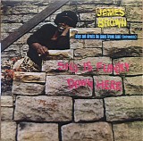 James Brown & The James Brown Band - Sho Is Funky Down Here