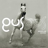 Gus Gus - Arabian Horse