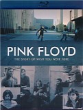 Pink Floyd - The Story Of Wish You Were Here