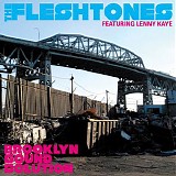 The Fleshtones & Lenny Kaye - Brooklyn Sound Solution