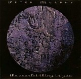 Peter Murphy - The Scarlet Thing In You