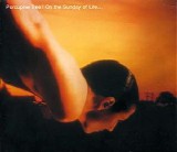 Porcupine Tree - On The Sunday Of Life...