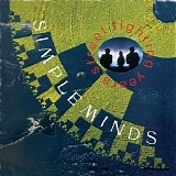 Simple Minds - Street Fighting Years