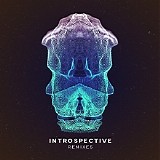 The New Division - Introspective [Remixes]