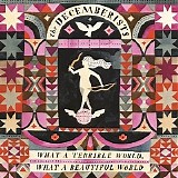 The Decemberists - What A Terrible World, What A Beautiful World