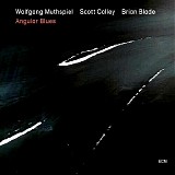 Wolfgang Muthspiel, Scott Colley & Brian Blade - Angular Blues