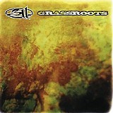 311 - Grassroots