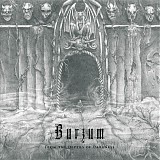 Burzum - From The Depths Of Darkness