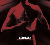 Godflesh - A World Lit Only By Fire