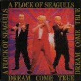 A Flock Of Seagulls - Dream Come True