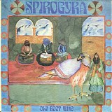 Spirogyra - Old Boot Wine