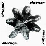 Vinegar - Vinegar