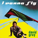 David Gray - I Wanna Fly