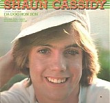 Shaun Cassidy - Shaun Cassidy