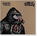 Hunter, Charlie (Charlie Hunter) - Baboon Strength