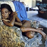 Terry Callier - What Color Is Love