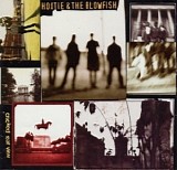 Hootie & The Blowfish - Cracked Rear View