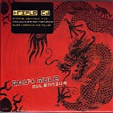 Gov't Mule - Mulennium (Disc 2)