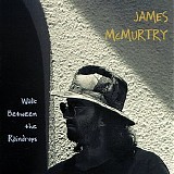 James McMurtry - Walk Between the Raindrops