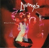 Divinyls - What A Life!