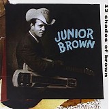 Junior Brown - 12 Shades Of Brown