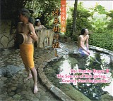 The Psyche Bugyo - The Pschye Bugyo III: The Source Of Hot Spring,,,Gravity-Feed Imigation!