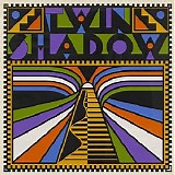 Twin Shadow - Twin Shadow