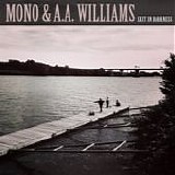 Mono & A.A.Williams - Exit In Darkness