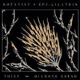 Botanist & Thief - EP 0 Cicatrix/Diamond Brush