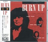 Jimmy Page, John Paul Jones etc. - Burn Up