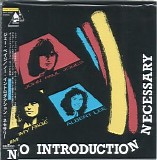 Jimmy Page - No Introductions Necessary