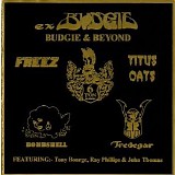 Tredegar - Budgie & Beyond