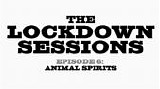 Ford, David - The Lockdown Sessions 6: Animal Spirits