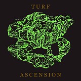 Bubblemath - Turf Ascension