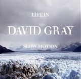 David Gray - Life In Slow Motion