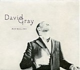 David Gray - Foundling CD1