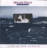 Walter Trout Band - Life In The Jungle