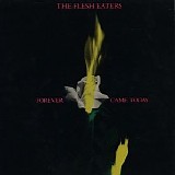 The Flesh Eaters - Forever Came Today