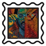 Toro y Moi - Anything in Return