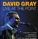 David Gray - Live At The Point