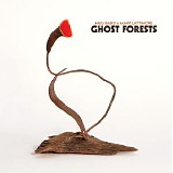 Meg Baird, Mary Lattimore - Ghost Forests