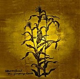 Woven Hand - The Laughing Stalk