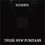 These New Puritans - Hidden