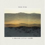 Wild Pink - A Billion Little Lights